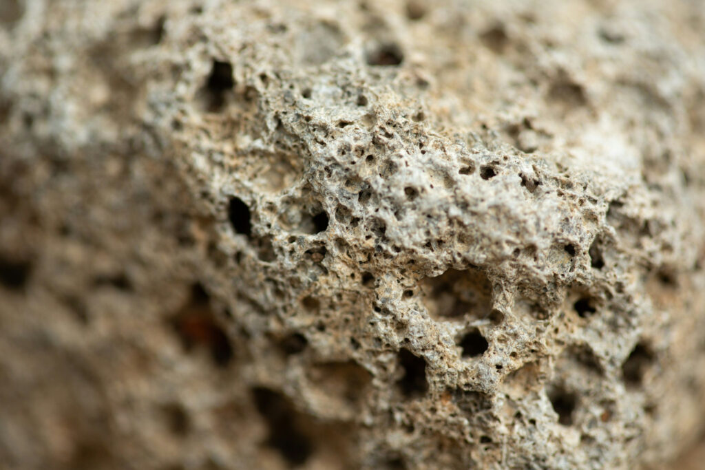 Hallo Wereld Uitgelichte Afbeelding